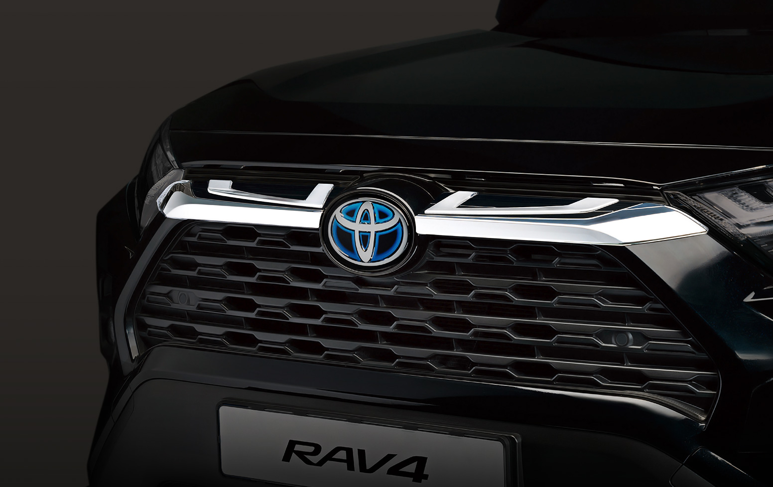 프론트 그릴 가니시